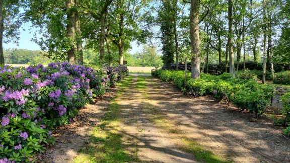 Dagbesteding bij Stichting Het Maathuis